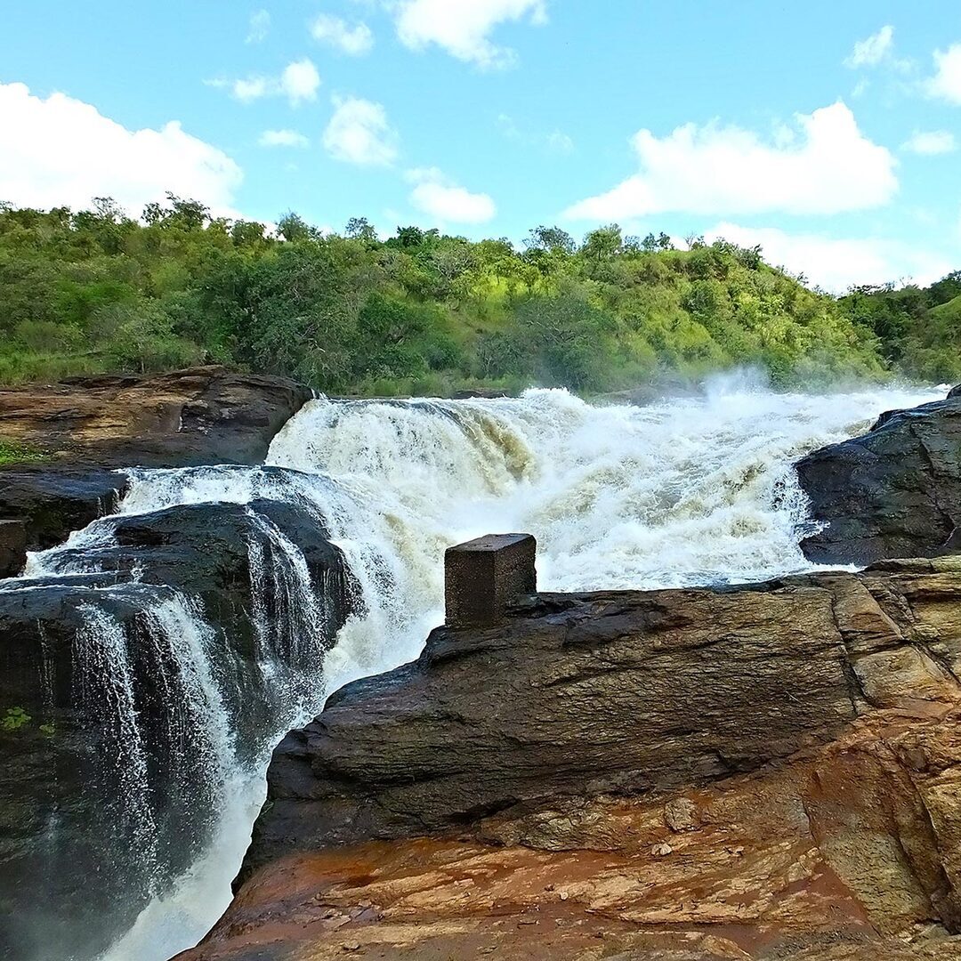 Airport transfers from Entebbe international airport to national park